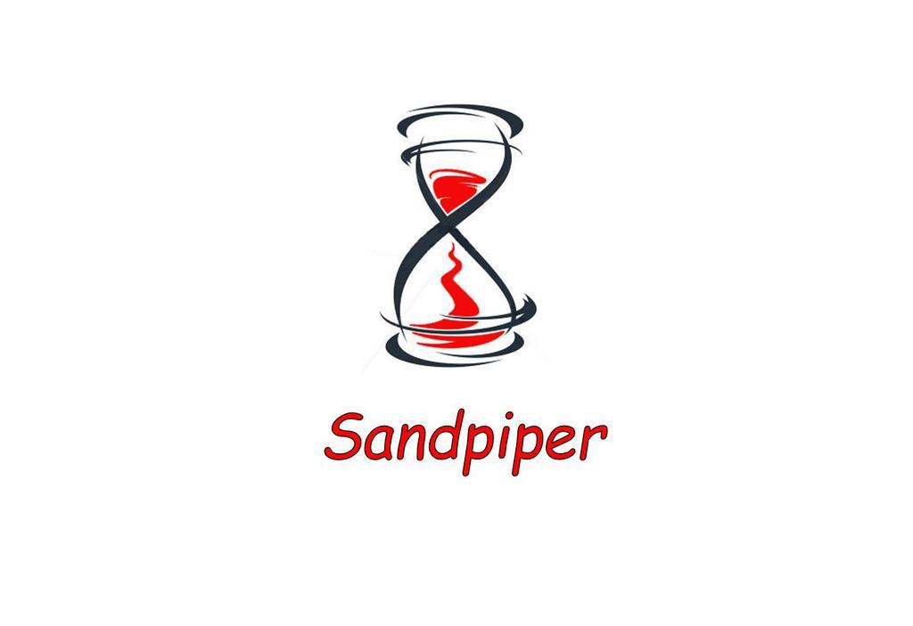 Sandpiper Ипер Стая снимка